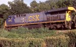 CSX 628 plowing through the summer weeds!